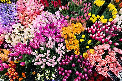 《魔界战记6：完整版》欧美版6月28日发售 角色预告发布